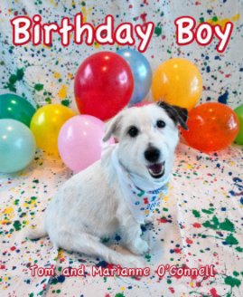 Birthday Boy book cover