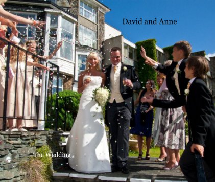 David and Anne book cover