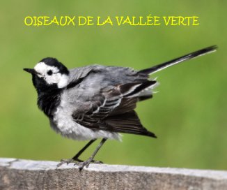OISEAUX DE LA VALLÉE VERTE book cover
