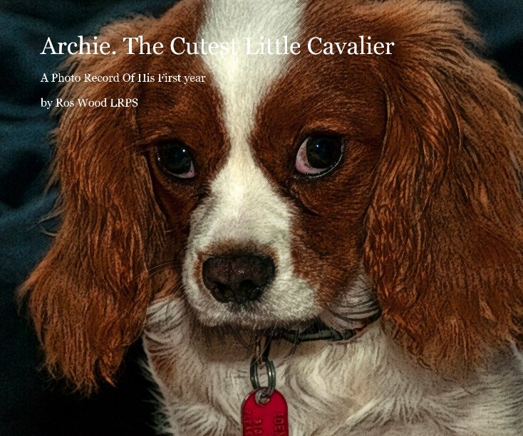 Ver Archie. The Cutest Little Cavalier por Ros Wood LRPS