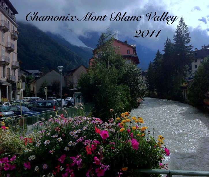 View Chamonix Mont Blanc Valley
                         2011 by kjola