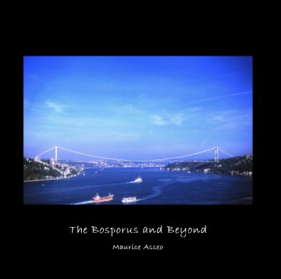 The Bosporus and Beyond book cover