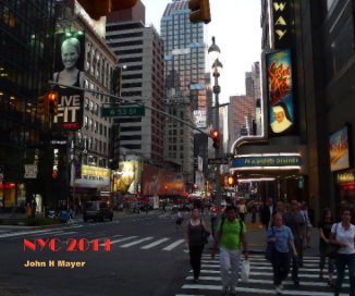 NYC 2011 book cover