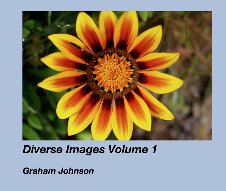 View Diverse Images Volume 1 by Graham Johnson