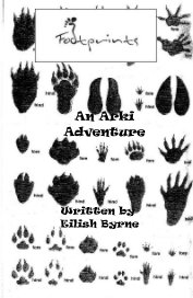 An Arki Adventure book cover