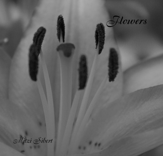 View Flowers by Mitzi Sibert