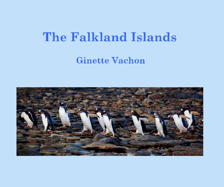 View The Falkland Islands by Ginette Vachon