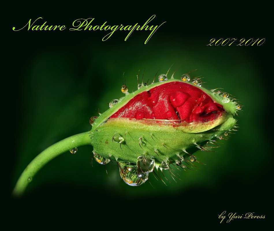 View Nature Photography by Yuri Peress