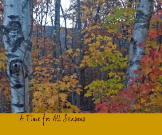 A Time for All Seasons book cover