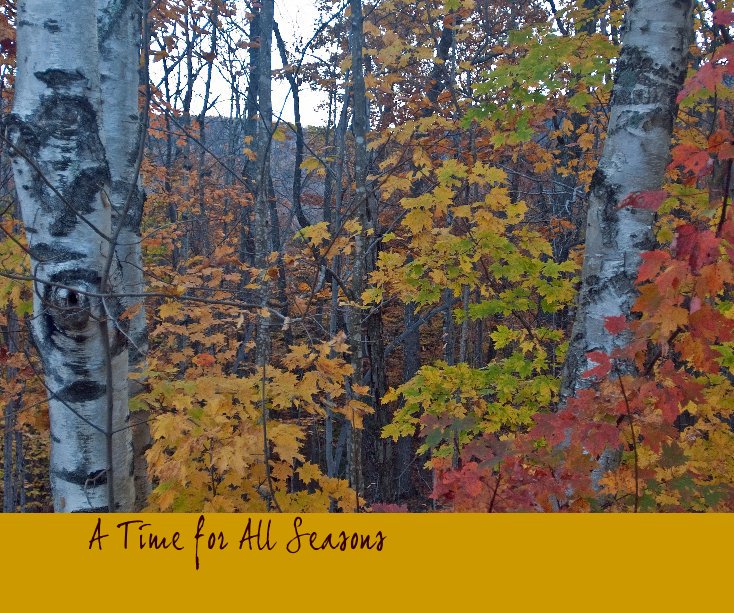 Bekijk A Time for All Seasons op Jeanne Goodman  Gail Juren