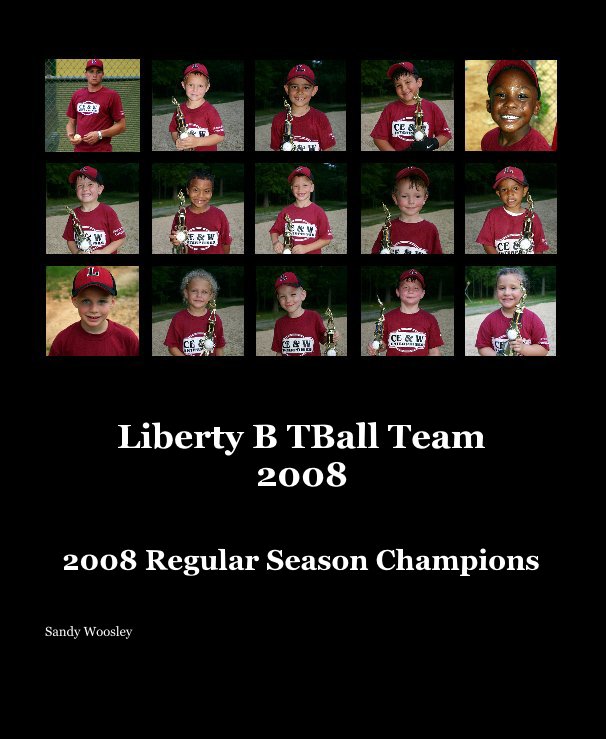 View Liberty B TBall Team 2008 by Sandy Woosley