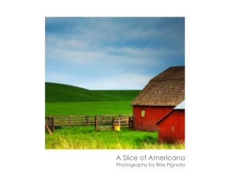 A Slice of Americana book cover