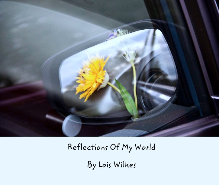 View Reflections Of My World by Lois Wilkes