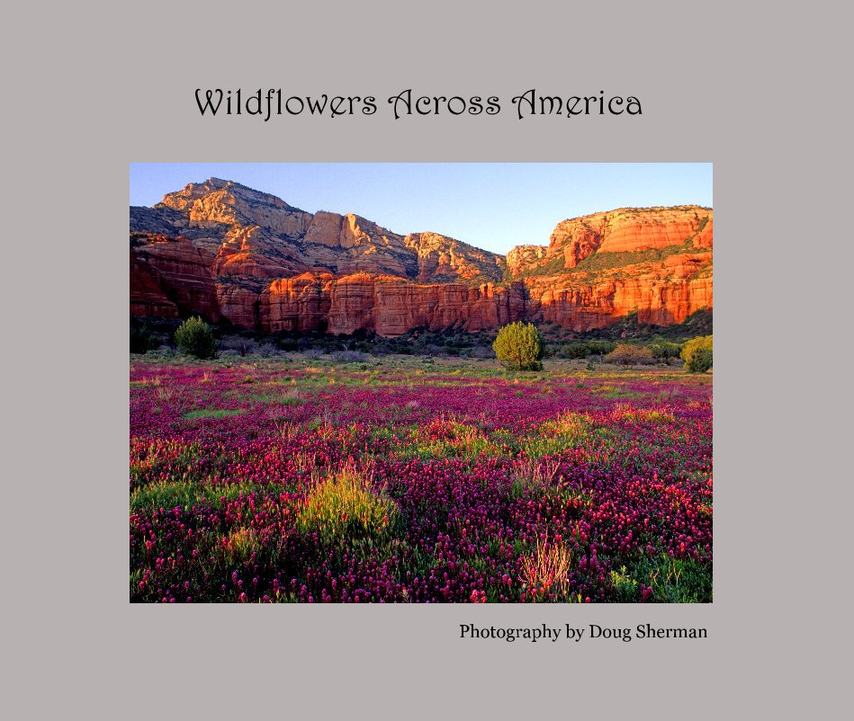 View Wildflowers Across America by Photography by Doug Sherman