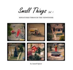 Small Things Vol. 1 book cover