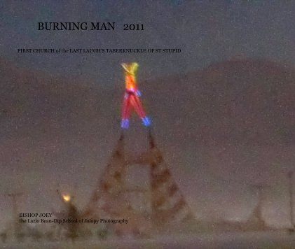 BURNING MAN 2011 book cover