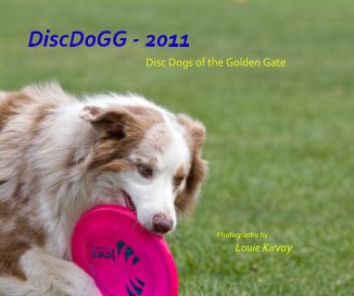DiscDoGG - 2011 book cover