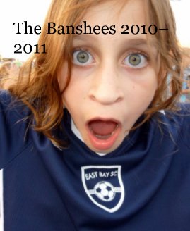 The Banshees 
2010–2011 book cover