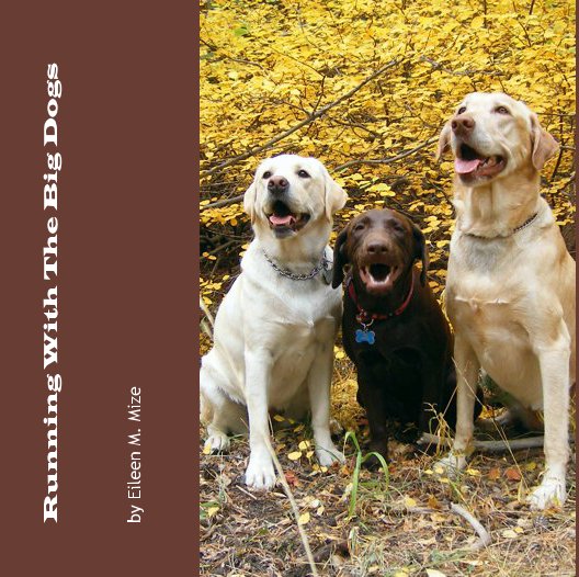 View Running With The Big Dogs by Eileen M. Mize