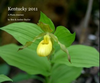 Kentucky in Bloom book cover