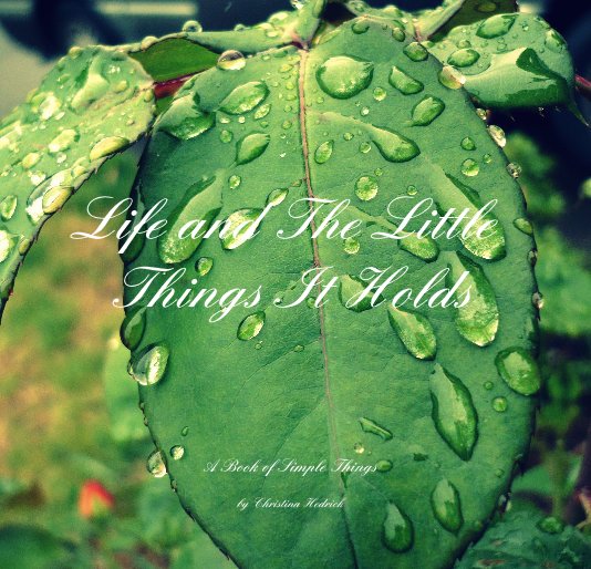 View Life and The Little Things It Holds by Christina Hedrick