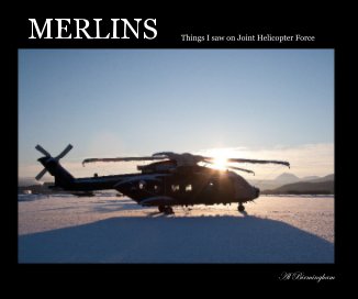 MERLINS book cover