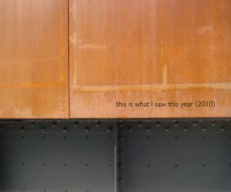 this is what I saw this year (2010) book cover