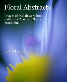 Floral Abstracts book cover