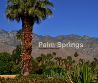 Palm Springs book cover