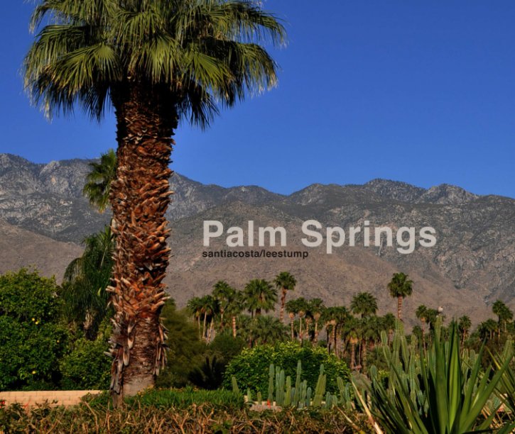 View Palm Springs by Santi Acosta/Lee Stump