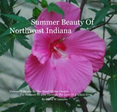 Summer Beauty Of Northwest Indiana book cover