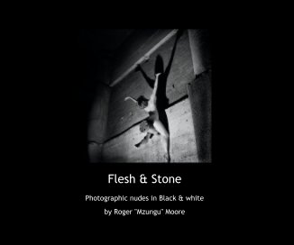 Flesh & Stone book cover