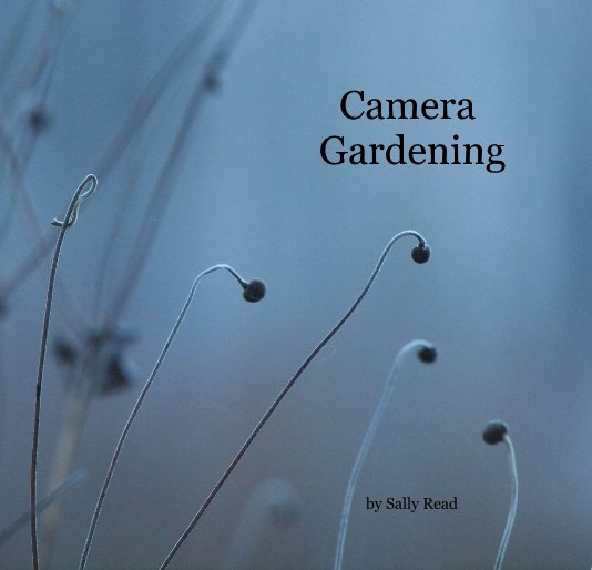 View Camera Gardening by Sally Read