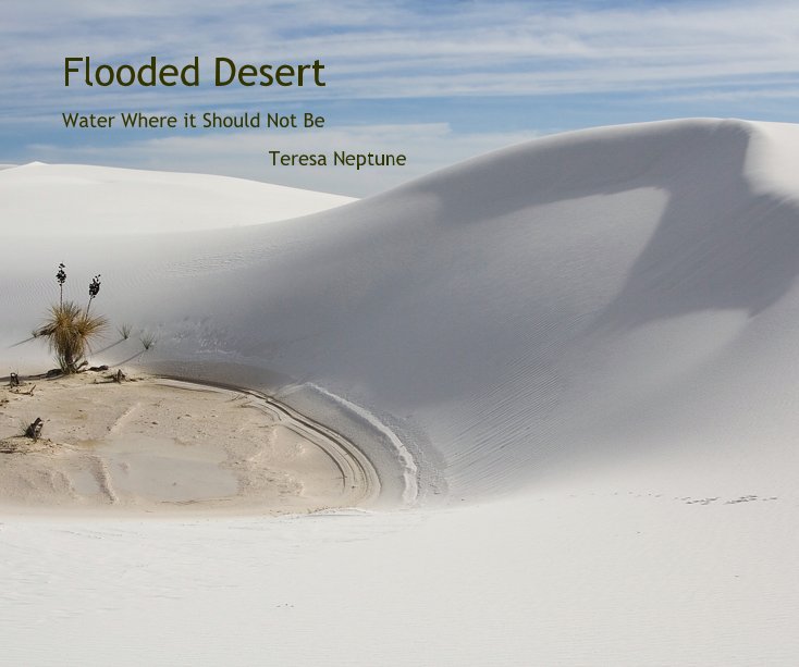 View Flooded Desert by Teresa Neptune