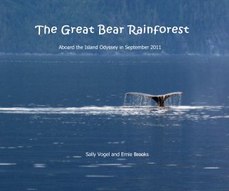 The Great Bear Rainforest book cover