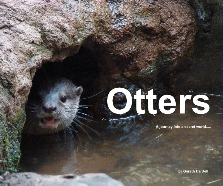 View Otters by Gareth Da'Bell