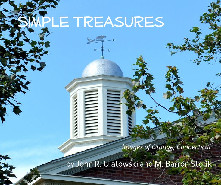 Ver Simple Treasures por John R. Ulatowski and M. Barron Stofik
