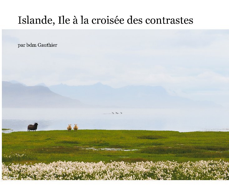 View Islande, Ile à la croisée des contrastes by par bdm Gauthier