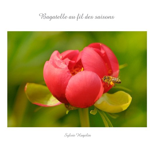 View Bagatelle au fil des saisons by Sylvie Hugelin