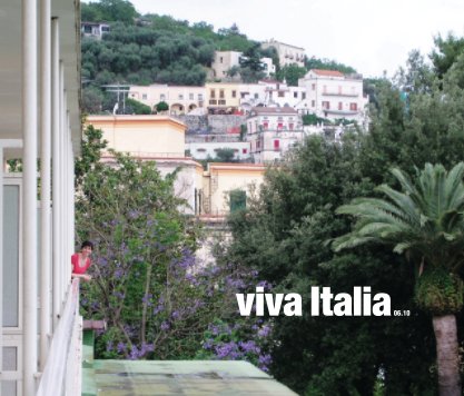 Viva Italia book cover