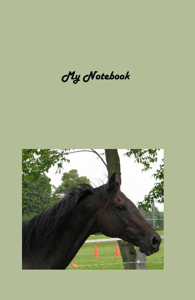 View My Notebook by Patricia Barker