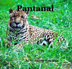 Pantanal book cover