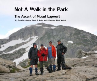 Not A Walk in the Park book cover