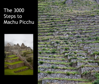 The 3000 Steps to Machu Picchu book cover