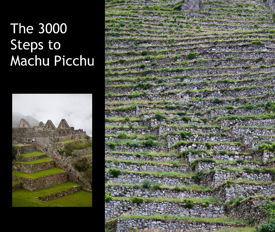 View The 3000 Steps to Machu Picchu by thevonbibras