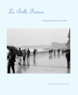 La Belle France book cover
