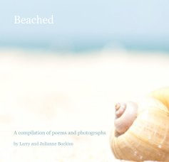 Beached (hardcover with dust jacket) book cover