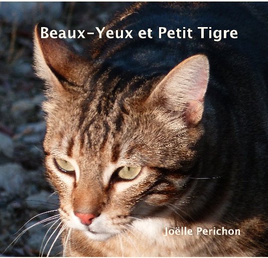 View Beaux-Yeux et Petit Tigre by Joëlle Perichon