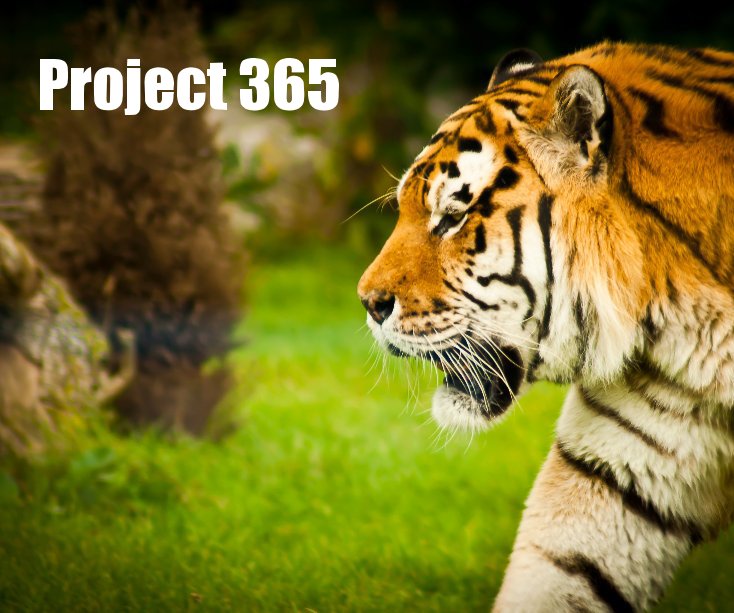 Bekijk Project 365 op Rob Franklin