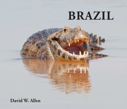 Brazil book cover